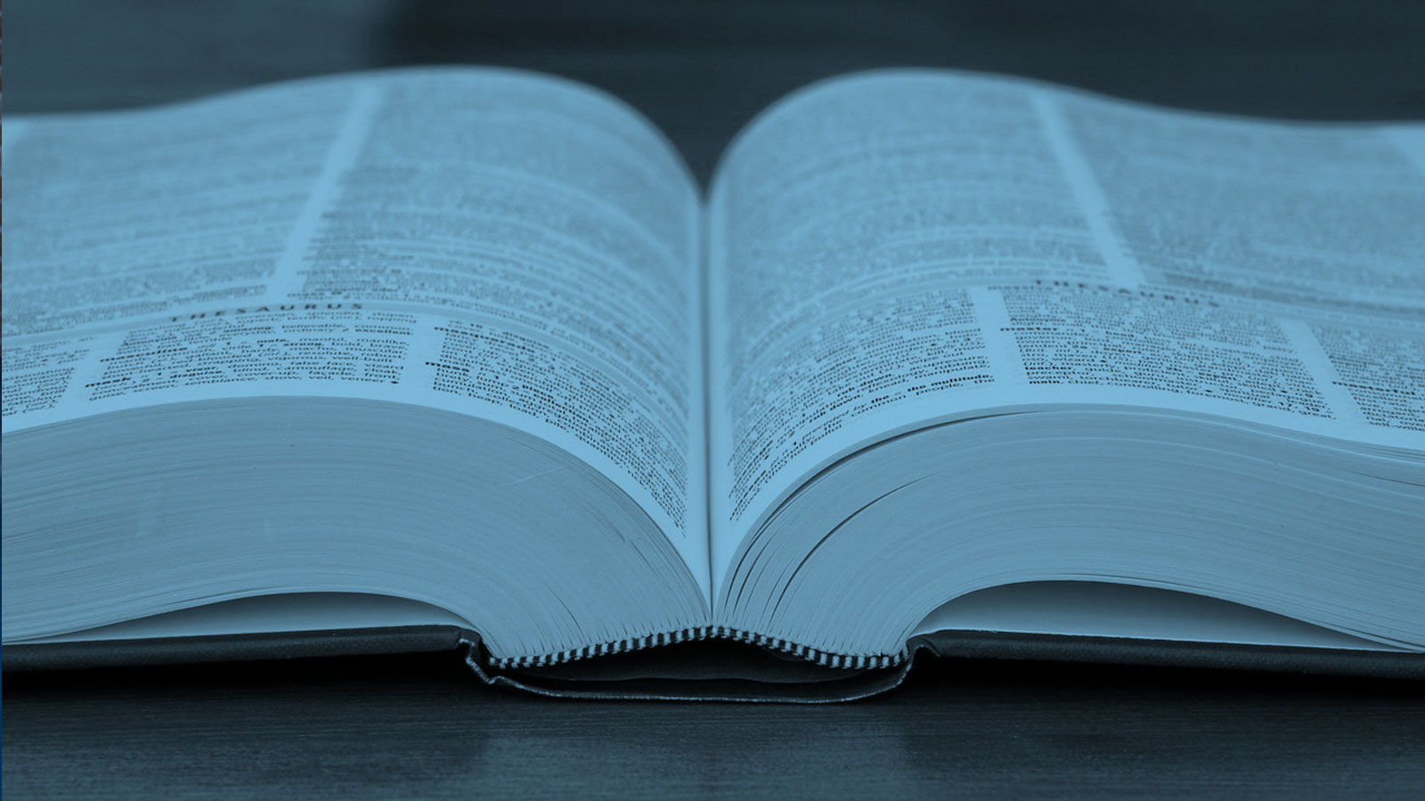 WORD OF THE DAY visual data 5